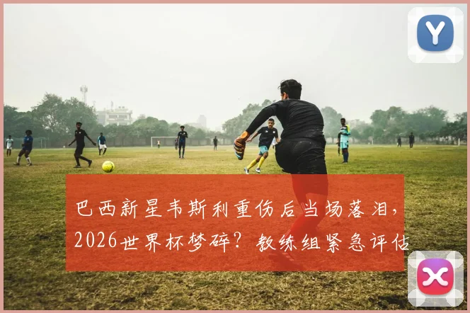 巴西新星韦斯利重伤后当场落泪，2026世界杯梦碎？教练组紧急评估，替代者人选浮出水面